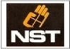 Imagem Logo - nst